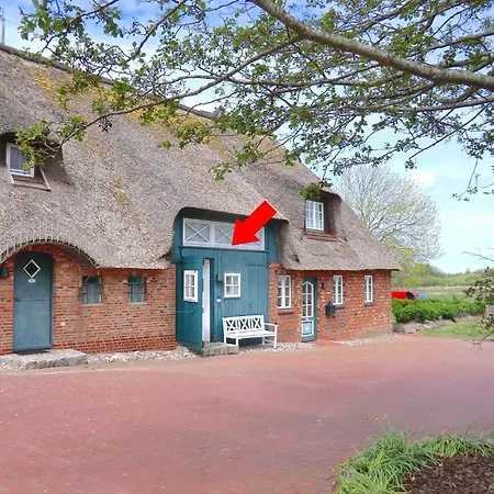 Herzmuschel Herrenhof Wrixum